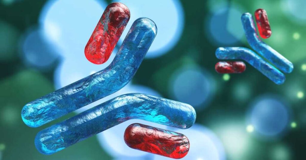 3D-Visualisierung von Antikörpern in Suspension für Antikörperproduktions-Services.