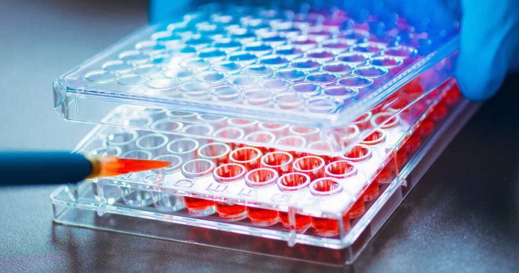 Wissenschaftler pipettiert rote Lösung in eine Mikrotiterplatte für funktionelle Bioassays und Wirksamkeitstests.