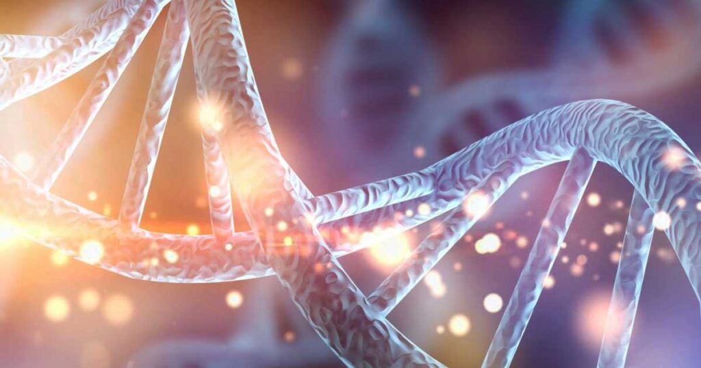 DNA-Doppelhelix als genetische Basis für die Herstellung rekombinanter Proteine.