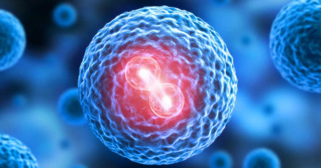 Glowing cell cluster illustrating cell division and stable cell line development.